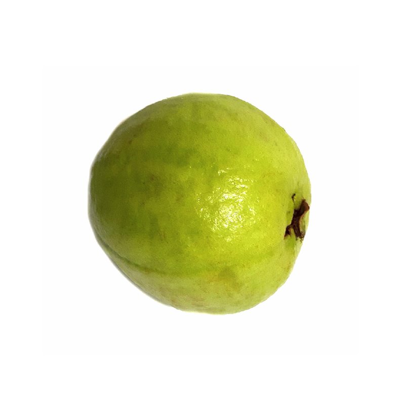 Guava (1 Count)