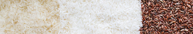 Rice, Grains, &amp; Millets