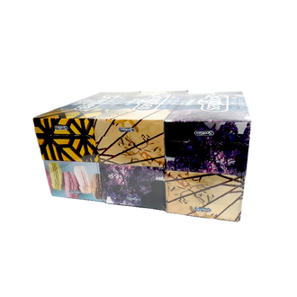 Scotties Original 2 Ply Facial Tissues (Pack of 6)