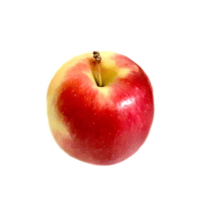 Ambrosia Apple (Each)
