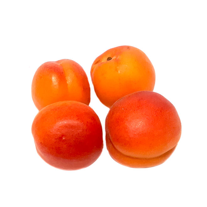 Apricots (4 Count)