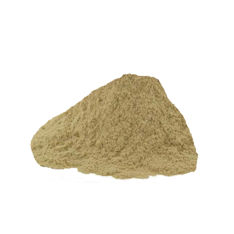 Gagan Ritha Powder 100g