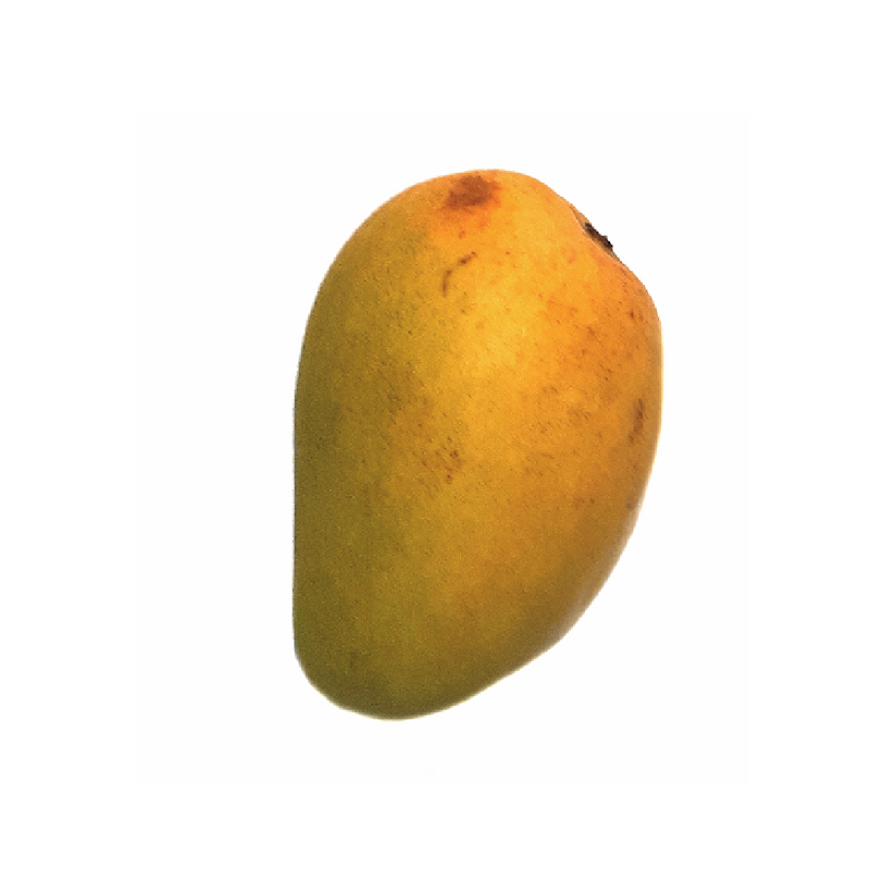 Ataulfo Mango (Each)