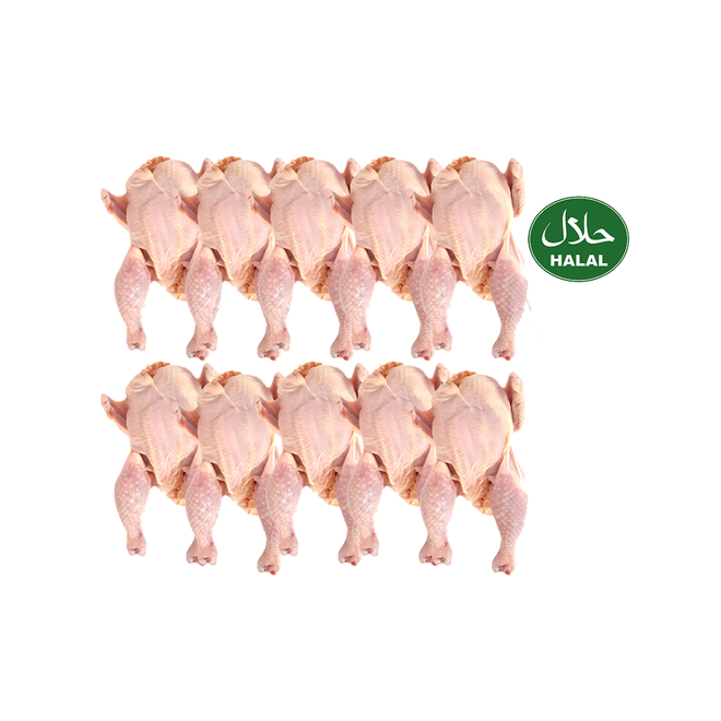Baby Chicken Whole (10 Count)