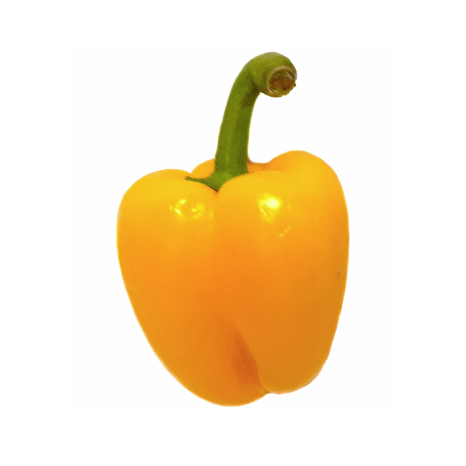 Bell Pepper, Yellow (Each)