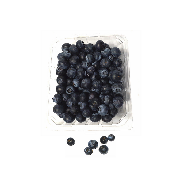 Blueberries (170g)