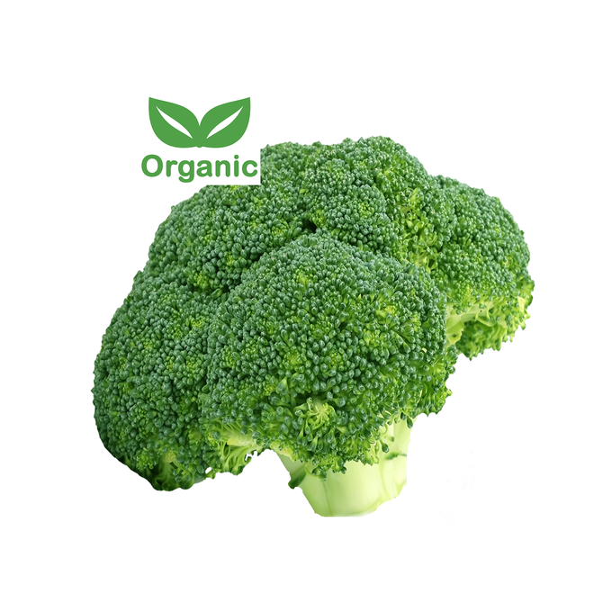 Organic Broccoli