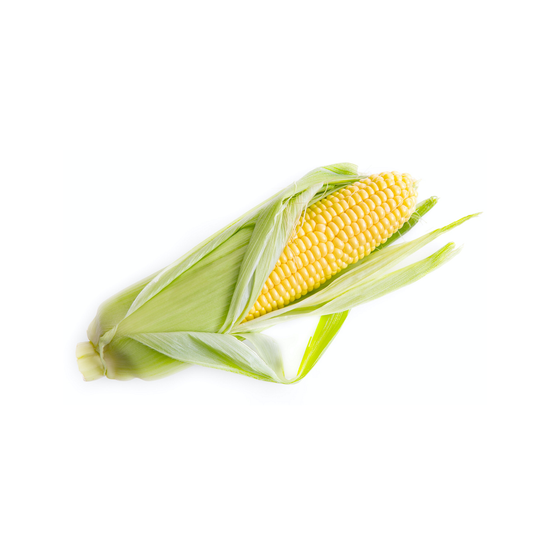 Corn On The Cob (1 Count)