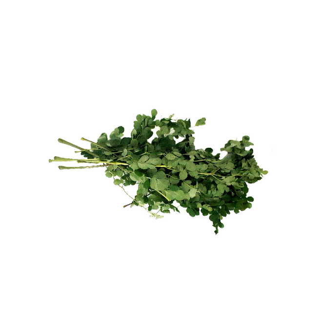 Drumstick Leaves (Bunch)