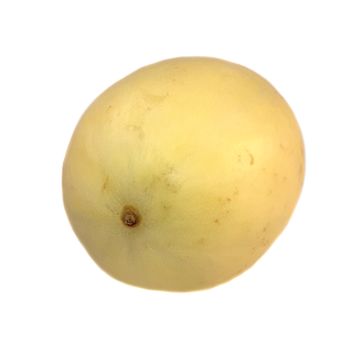 Honeydew Melon (Each)