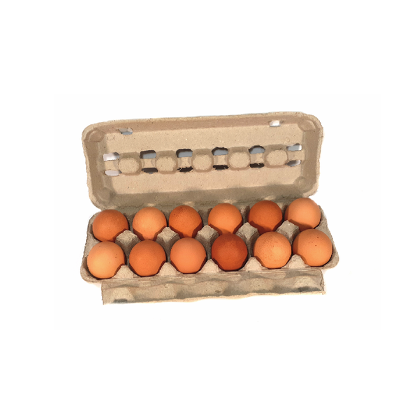 *Large Eggs Brown (12 Eggs)