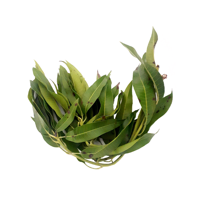 Mango Leaves (Bunch)