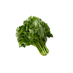Rapini (Bunch)