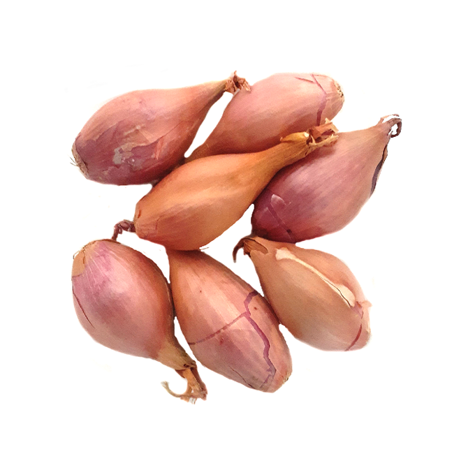 Shallots (7 Count)