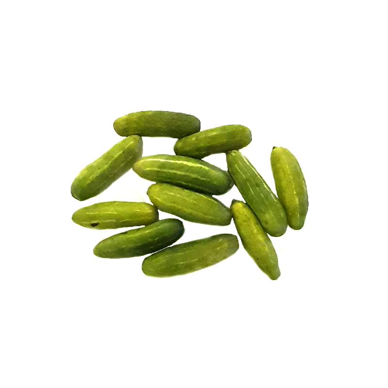 Tindora-Ivy gourd (20 count)