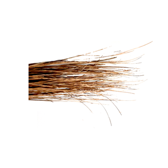 Traditional Hard Broom- Tinka Jharu