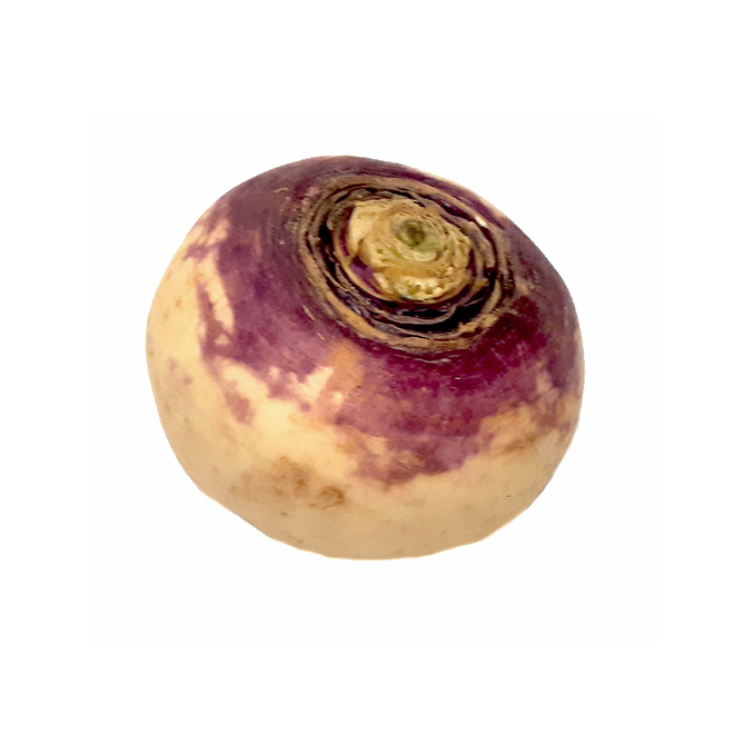 Turnip (1 Count)