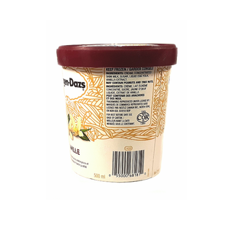 Haagen Dazs Vanilla Ice Cream (450ml)
