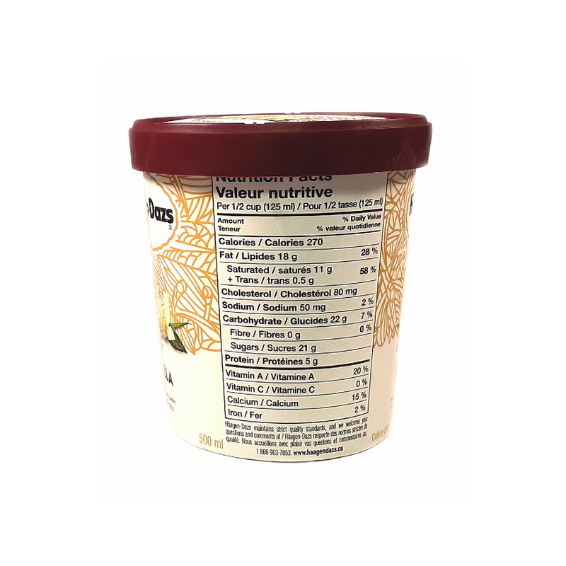 Haagen Dazs Vanilla Ice Cream (450ml)