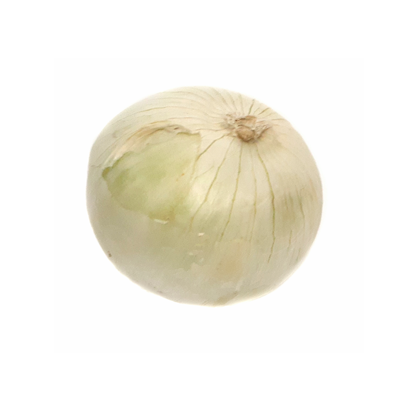 White Onions (1 Count)