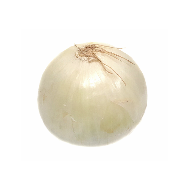 White Onions (1 Count)